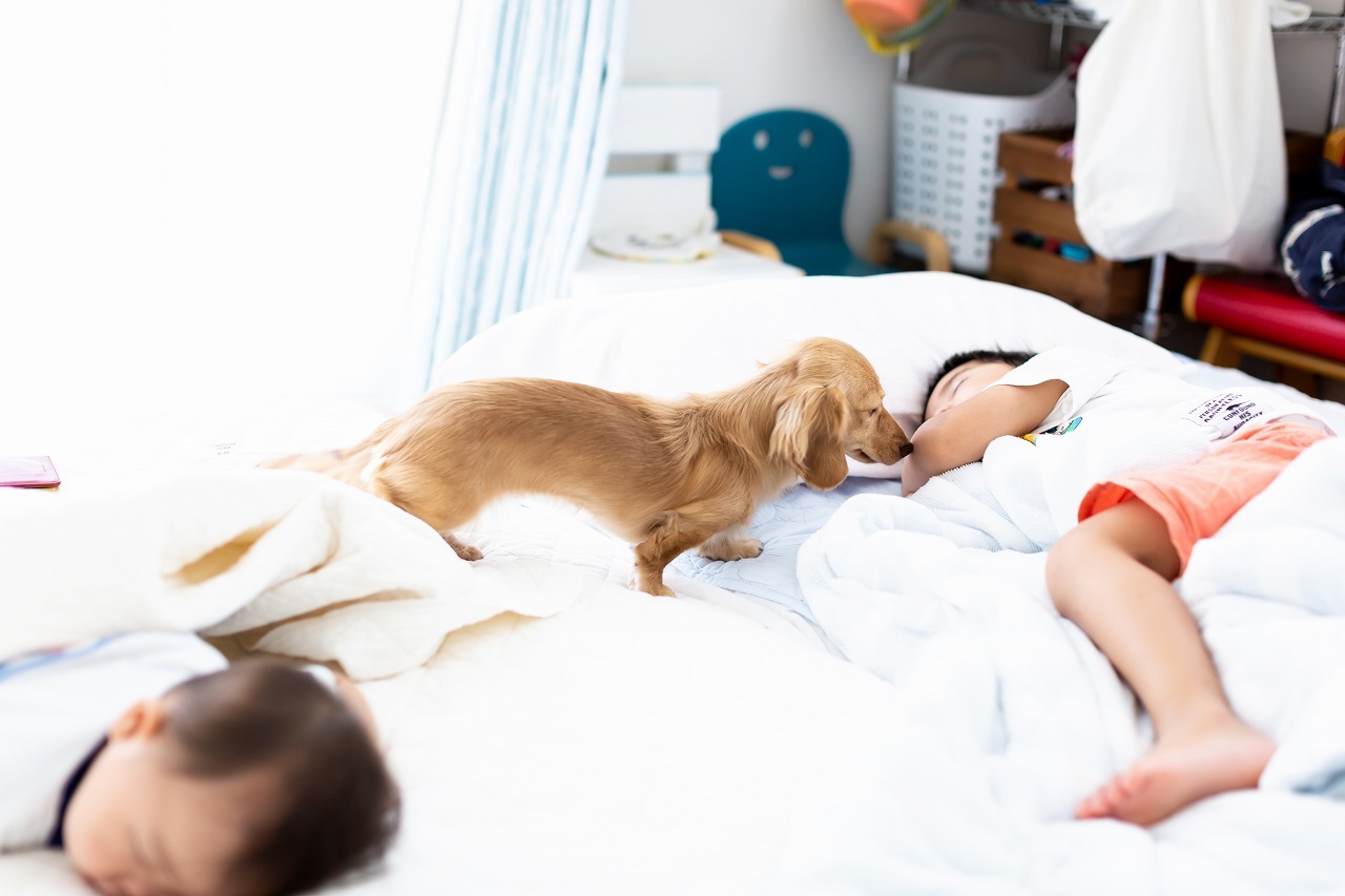 1日かけて片付けたけど、<br />1週間ですぐ元の状態にリバウンド。